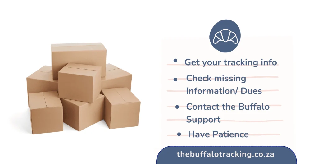 Buffalo Tracking and Logistics – Quick, and Reliable Service Provider 3 Buffalo tracking package stuck in customs